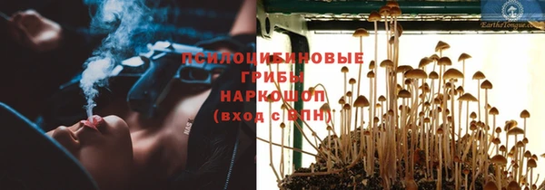 apvp Алзамай