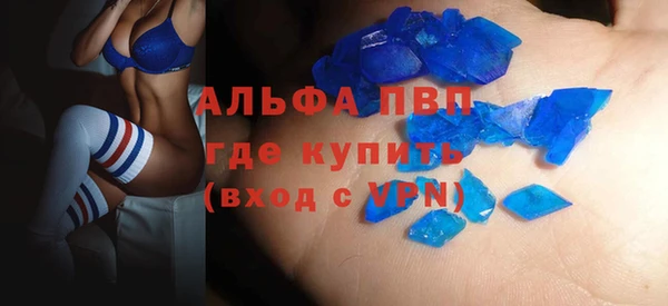 apvp Алзамай