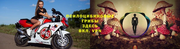 apvp Алзамай