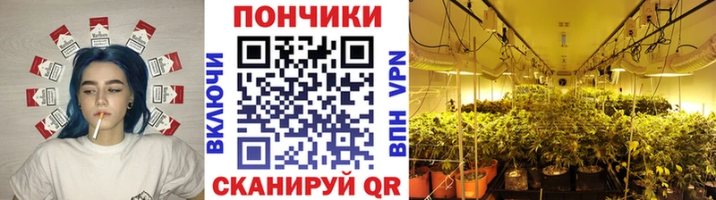 Бошки Шишки OG Kush  Южно-Сухокумск 